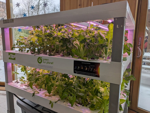 WS Hydroponic Salad Station 2025